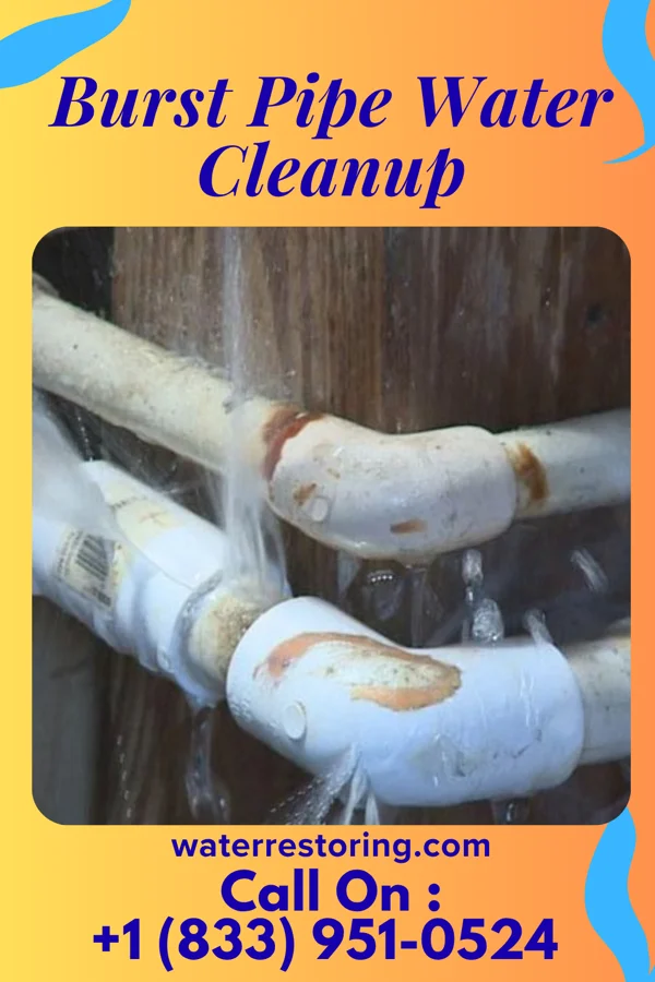 Burst Pipe Water Cleanup in Cuartelez, NM