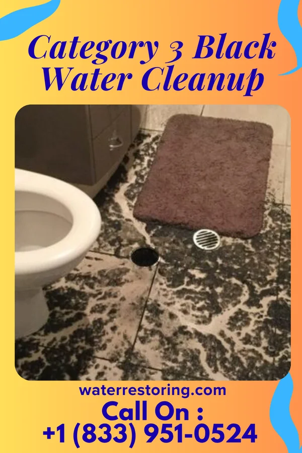 Category 3 Black Water Cleanup in Cuartelez, NM