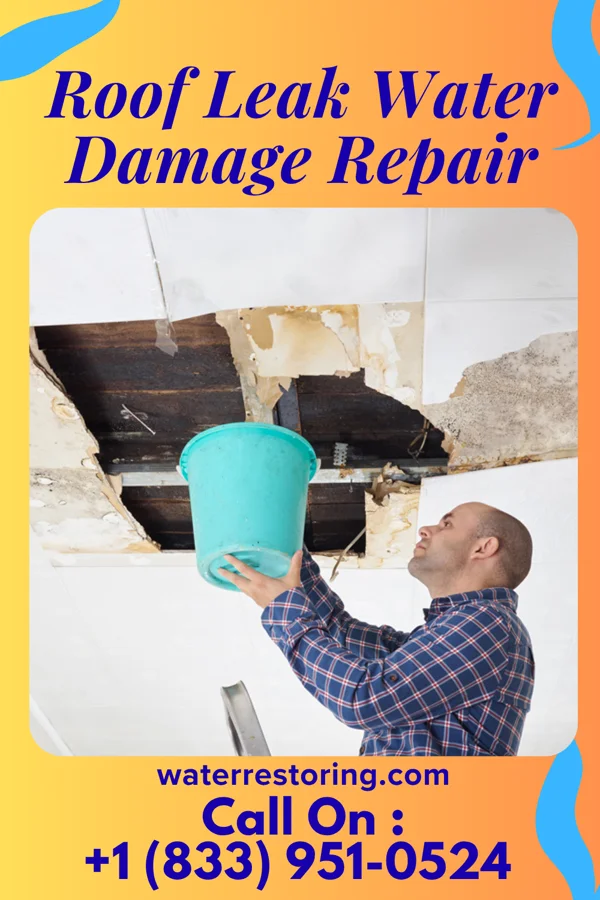 Roof Leak Water Damage Repair in Cuartelez, NM