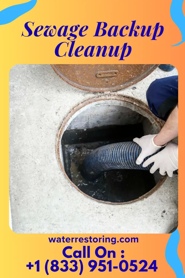 Sewage Backup Cleanup in Cuartelez, NM