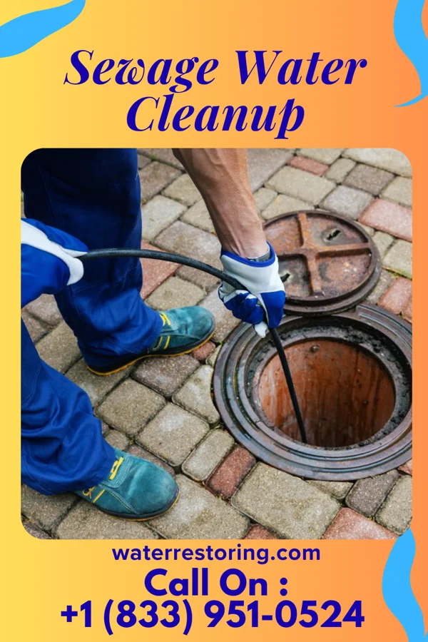 Sewage Water Cleanup in Cuartelez, NM