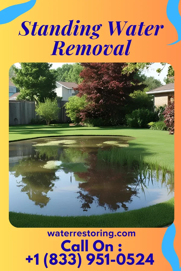 Standing Water Removal in Cuartelez, NM